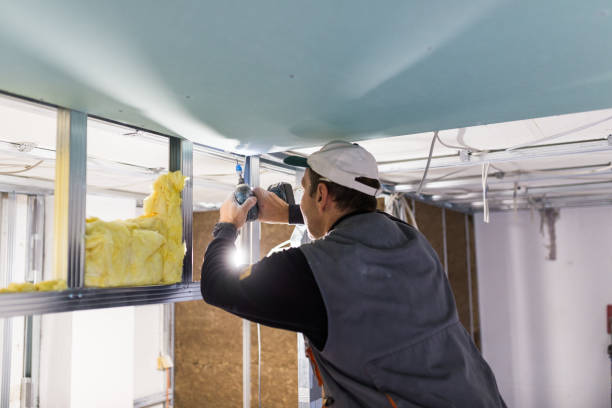Best Insulation Installation Services in Belcourt, ND